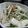 Schunauzer's cooksnap of when they made 3分でできちゃう！カイワレ大根のサラダ♪.