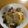 かりのおうち's cooksnap of when they made 豚バラと春キャベツの重ね蒸し.