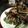 runmaru710's cooksnap of when they made 春菊と豚の香ばしチーズかき揚げ.