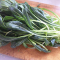 ルビ－'s cooksnap of when they made 京野菜の定番、壬生菜の切り方　京都カフェ.