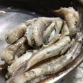 マメッコポケット's cooksnap of when they made キス（魚ですよ～）の塩茹.