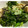 Pupinon's cooksnap of when they made ＊ささみと塩昆布のマヨ和え＊.