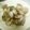 Mikko姉's cooksnap of when they made ＊おつまみに＊アサリの酒蒸し＊.
