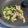 クックBYD313☆'s cooksnap of when they made 鶏肉と小松菜の炒め物.