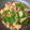 白モンブラン's cooksnap of when they made 豚肉とかぶのとろ旨炒め.