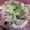 ゆりはるみ♡'s cooksnap of when they made ねぎ塩レモン♡豚丼.
