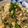 mayutaro♪'s cooksnap of when they made もやしとピーマンと卵のオイスター炒め.