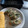 ぶるーぽぴー's cooksnap of when they made ＊ごぼ天＊の磯部揚げ～♪.