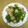 かおり（＾ｖ＾）♪'s cooksnap of when they made 10分で作る☆帆立と菜の花の中華炒め.