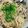ぱぴぷぺぽち's cooksnap of when they made サンマのパスタ.