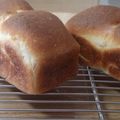 ユリパン's cooksnap of when they made ホシノ山食（長時間発酵）.