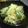 ぐうたらパンダ。's cooksnap of when they made 豚としらたきとキャベツ炒め♪.