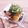 あんみつ☆'s cooksnap of when they made 大葉が香るピリ辛蒸し茄子.