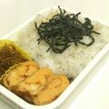 Fire-King's cooksnap of when they made 食べやすい♪のり弁.