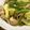 sinomori's cooksnap of when they made 塩麹で極ウマ肉野菜炒め.