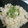 ありたす's cooksnap of when they made ♥超簡単！あさりの炊き込みご飯♥.