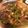 ｃｉｎｚａｎｏ's cooksnap of when they made 簡単☆青椒肉絲（チンジャオロースー）.