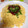 あるぱかりんこ's cooksnap of when they made とろ〜〜り卵のオムライス.