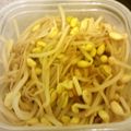 プリティースノー's cooksnap of when they made 豆もやしとえのきのピリ辛炒め.