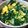 ｊkemumaki's cooksnap of when they made ❦ニラ卵丼❦.