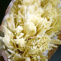 emily1022's cooksnap of when they made 簡単エノキほぐし.