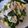 SKB34's cooksnap of when they made 豚バラほうれん草の中華風炒め.