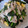 SKB34's cooksnap of when they made 豚バラほうれん草の中華風炒め.