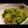 himinya's cooksnap of when they made ＊かぼちゃサラダ＊.