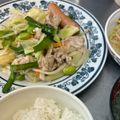 ⭐︎mogmog's cooksnap of when they made 再現！ほっともっとの肉野菜炒め.