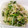ＫawausosO's cooksnap of when they made ほうれん草ともやしの簡単和え物.