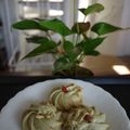 スタイリッシュママ's cooksnap of when they made クリスマス☆リースなソフトクッキー♪.