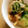 押忍番長's cooksnap of when they made ✿きゅうりの穂先メンマ和え✿.