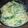 かみわかめ's cooksnap of when they made ささっと美味しい！水菜のパスタ.