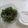 わかポン☆'s cooksnap of when they made ごはんが進む大葉の醤油漬け(⁎˃ᴗ˂⁎).