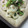たらぴとりん's cooksnap of when they made ＋1品 菜の花と蓮根のマスタード和え.