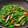 ｸﾏﾘｴ's cooksnap of when they made ささげとさつま揚げの油炒め.