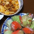 藤堂葵乃's cooksnap of when they made 水菜とツナの生春巻き☆　.