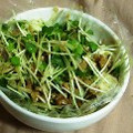 お楽しみのさなぎ's cooksnap of when they made 貝割れと茗荷のおかかまぶし納豆和え.