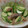 単！！'s cooksnap of when they made きゅうりの塩辛和え.