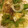 ミオな〜's cooksnap of when they made 味付けは鶏がらスープの素のみ！野菜炒め.