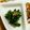 ☆☆☆かっちん☆☆☆'s cooksnap of when they made 簡単！にらぬた.