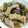 ともか。's cooksnap of when they made ほうれん草と油揚げの煮物.