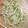 anna_kyons's cooksnap of when they made もやしといんげんと豚肉の韓国風炒め.