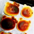 ひーさま710's cooksnap of when they made キティちゃんパン.