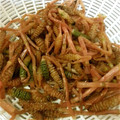 rrg's cooksnap of when they made ツクシの保存.
