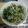 さりにゃ's cooksnap of when they made 春爛漫！野蒜(ノビル)のスタミナ炒め。.