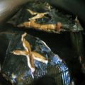 舞衣ママ's cooksnap of when they made 杏なカレイの煮付け.
