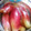 舞衣ママ's cooksnap of when they made みょうがの甘酢漬け.