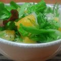 ナイトクイーン's cooksnap of when they made 甘夏と新玉ねぎのサラダ.