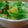 ナイトクイーン's cooksnap of when they made 甘夏と新玉ねぎのサラダ.